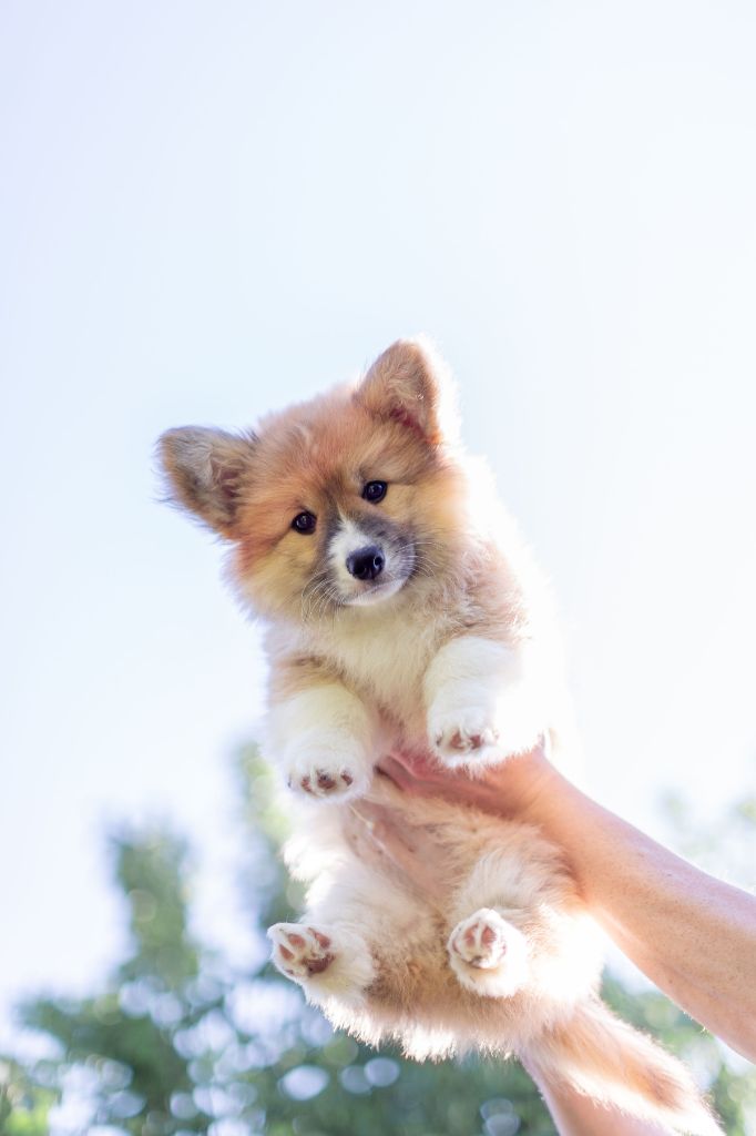 Une page se tourne ...